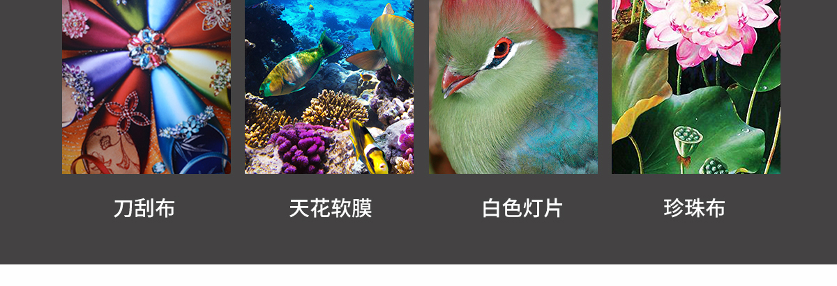 ht1600青青草原网址