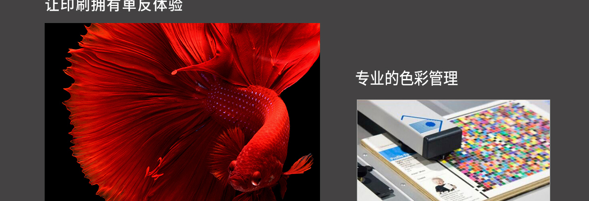 ht1600青青草原网址